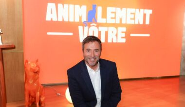Animalement Vôtre (France 3) : Bernard Montiel reçoit un célèbre écrivain dans son émission, il a vendu plus de 24 millions de livres dans le monde
