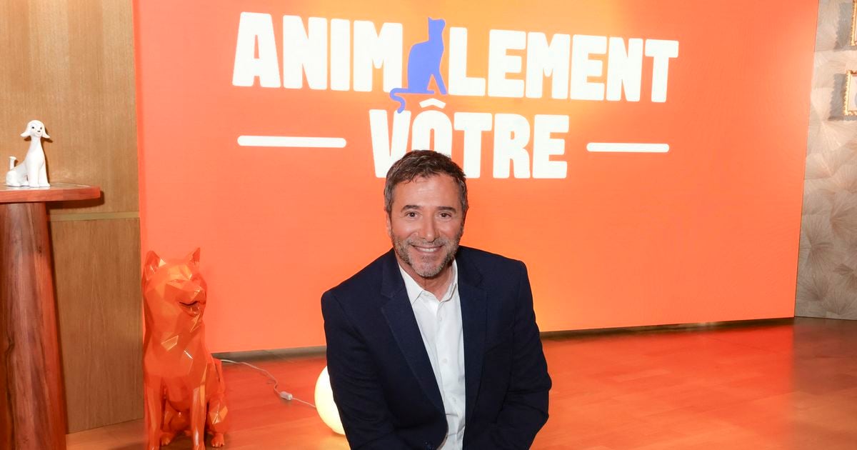 Animalement Vôtre (France 3) : Bernard Montiel reçoit un célèbre écrivain dans son émission, il a vendu plus de 24 millions de livres dans le monde