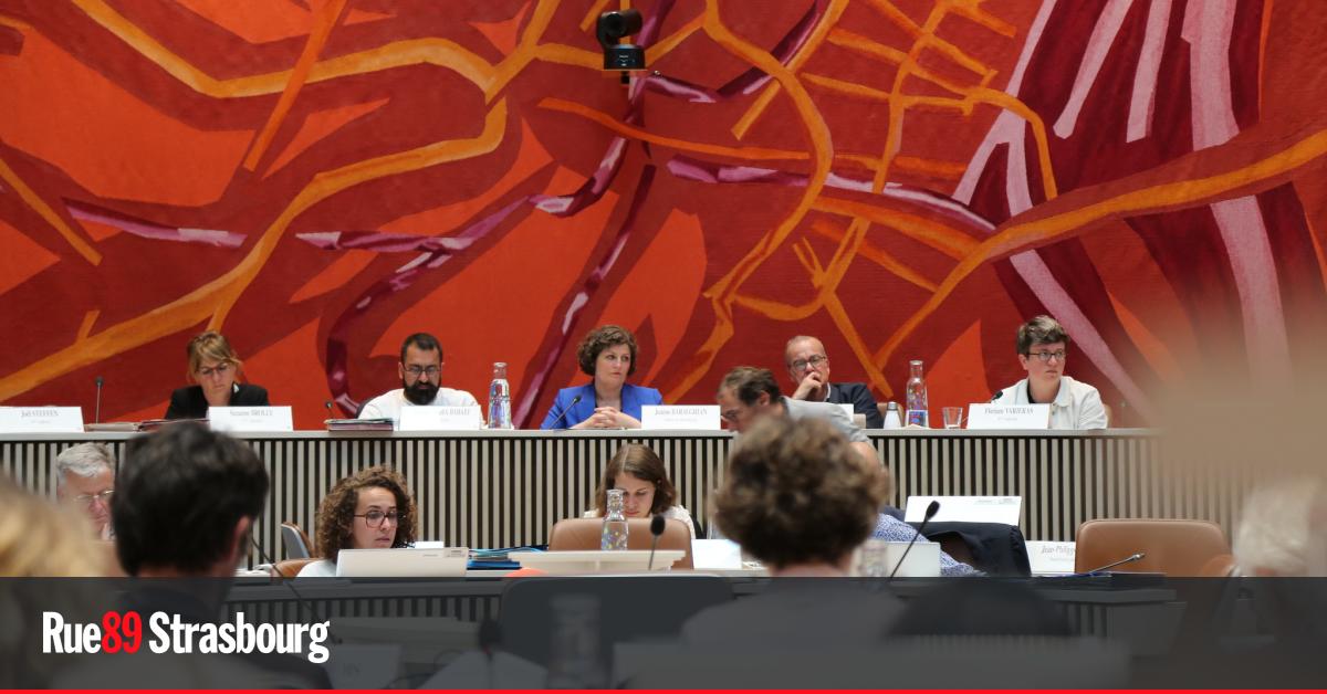 Vote du budget, soutien aux assos et rapport sur les violences sexistes au conseil municipal