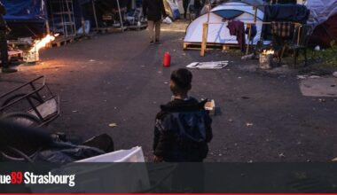 Strasbourg. Le tribunal administratif autorise l'expulsion d'un campement
