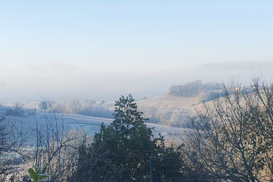 Avec le voile blanc de l'aube, en Gironde, la nature a offert des scènes dignes d'un rêve ; comme ici à Monprimblanc.