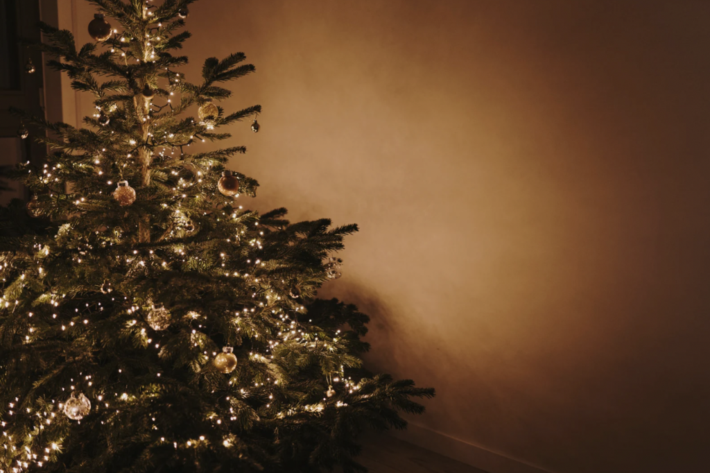 où déposer son sapin après Noël ?