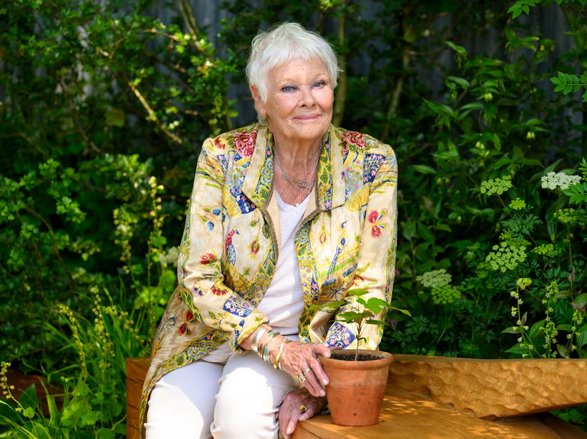 Judi Dench à Londres, le 20 mai 2024.