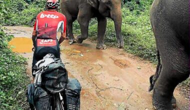 « Je me suis retrouvé au milieu des éléphants… » : ce coureur professionnel breton s’est offert un tour de Thaïlande épique pendant l’intersaison