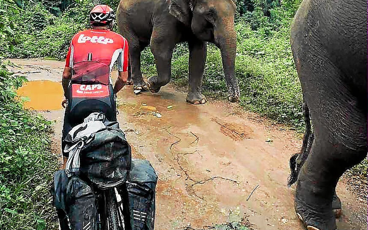 « Je me suis retrouvé au milieu des éléphants… » : ce coureur professionnel breton s’est offert un tour de Thaïlande épique pendant l’intersaison