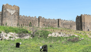 « Un moment important » : la ville de Rennes est désormais jumelée avec Diyarbakır en T urquie