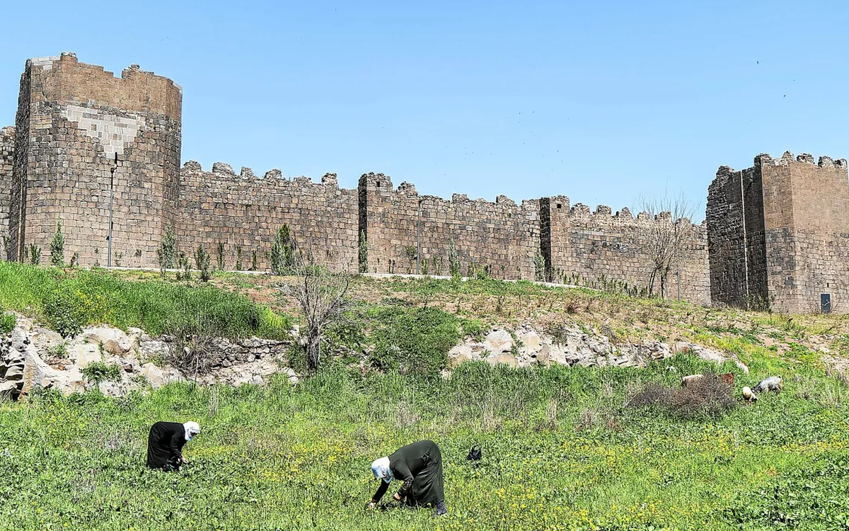 « Un moment important » : la ville de Rennes est désormais jumelée avec Diyarbakır en T urquie