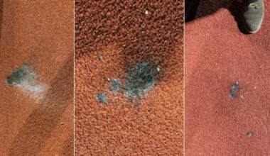 la facture envoyée au GF38