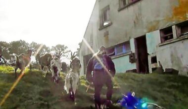 « Nous sommes les murs qui nous tiennent », d’Alisa Roydman projeté à l’Auditorium de Douarnenez ce vendredi 5 décembre