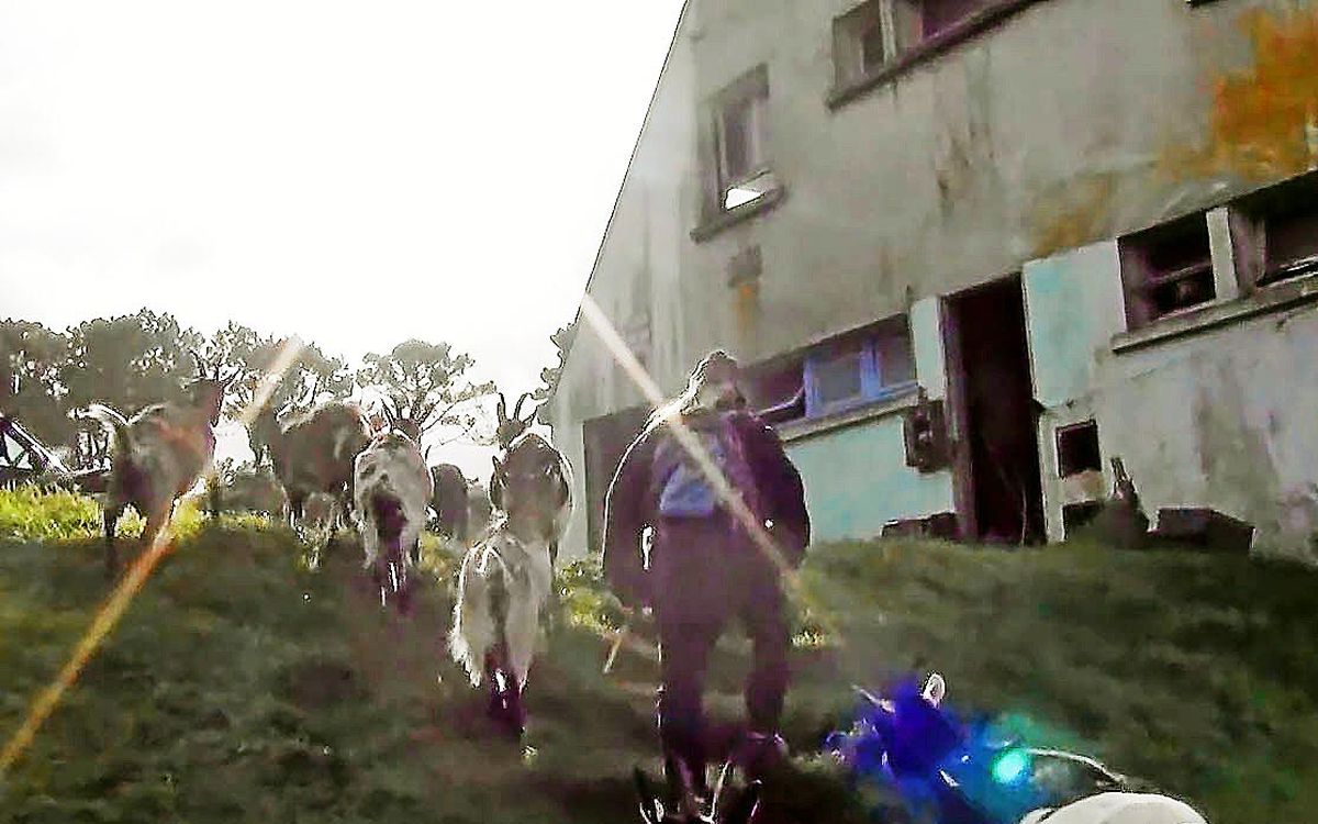 « Nous sommes les murs qui nous tiennent », d’Alisa Roydman projeté à l’Auditorium de Douarnenez ce vendredi 5 décembre