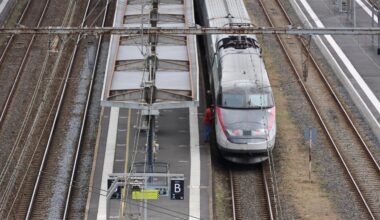 Recherché pour meurtre en Allemagne, un homme interpellé pour vol en gare de Poitiers