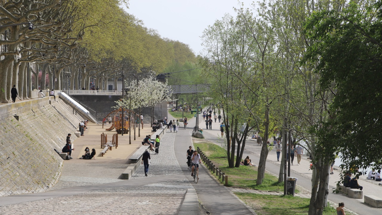 ce qu'on sait du "Plan Lyon Fraîcheur” de Jean-Michel Aulas