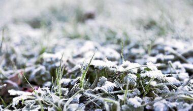 Grand froid : en Ille-et-Vilaine, la préfecture « renforce ses dispositifs »
