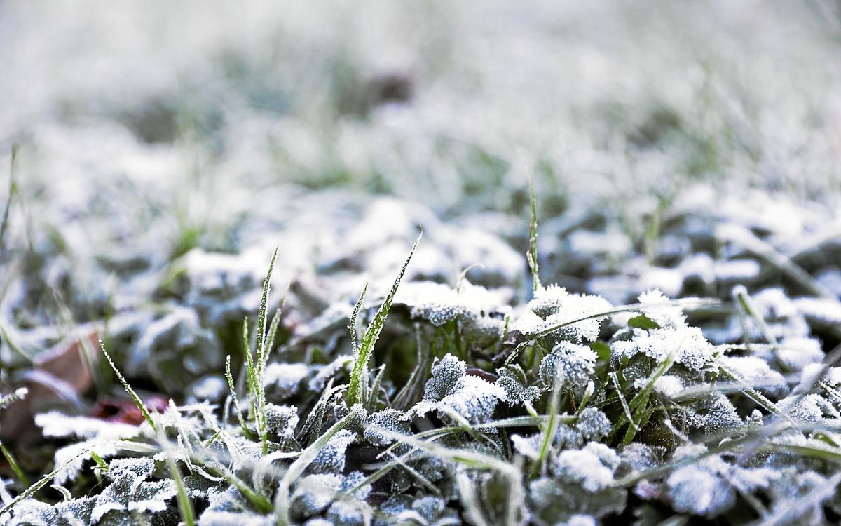 Grand froid : en Ille-et-Vilaine, la préfecture « renforce ses dispositifs »