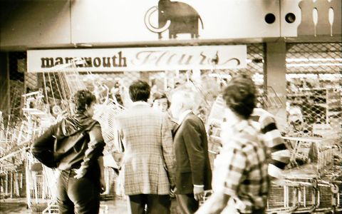 Le barrage de caddies devant le Mammouth d'Alma.