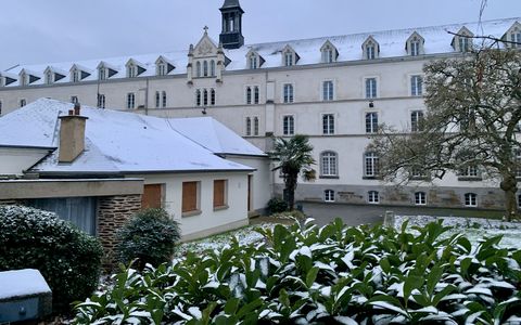 DIRECT - La moitié de la Bretagne s'est réveillée sous la neige [En images]