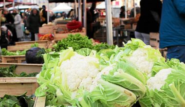 « 70 centimes moins cher » : les maraîchers de la place des Lices s’adaptent pour écouler leur stock de choux-fleurs