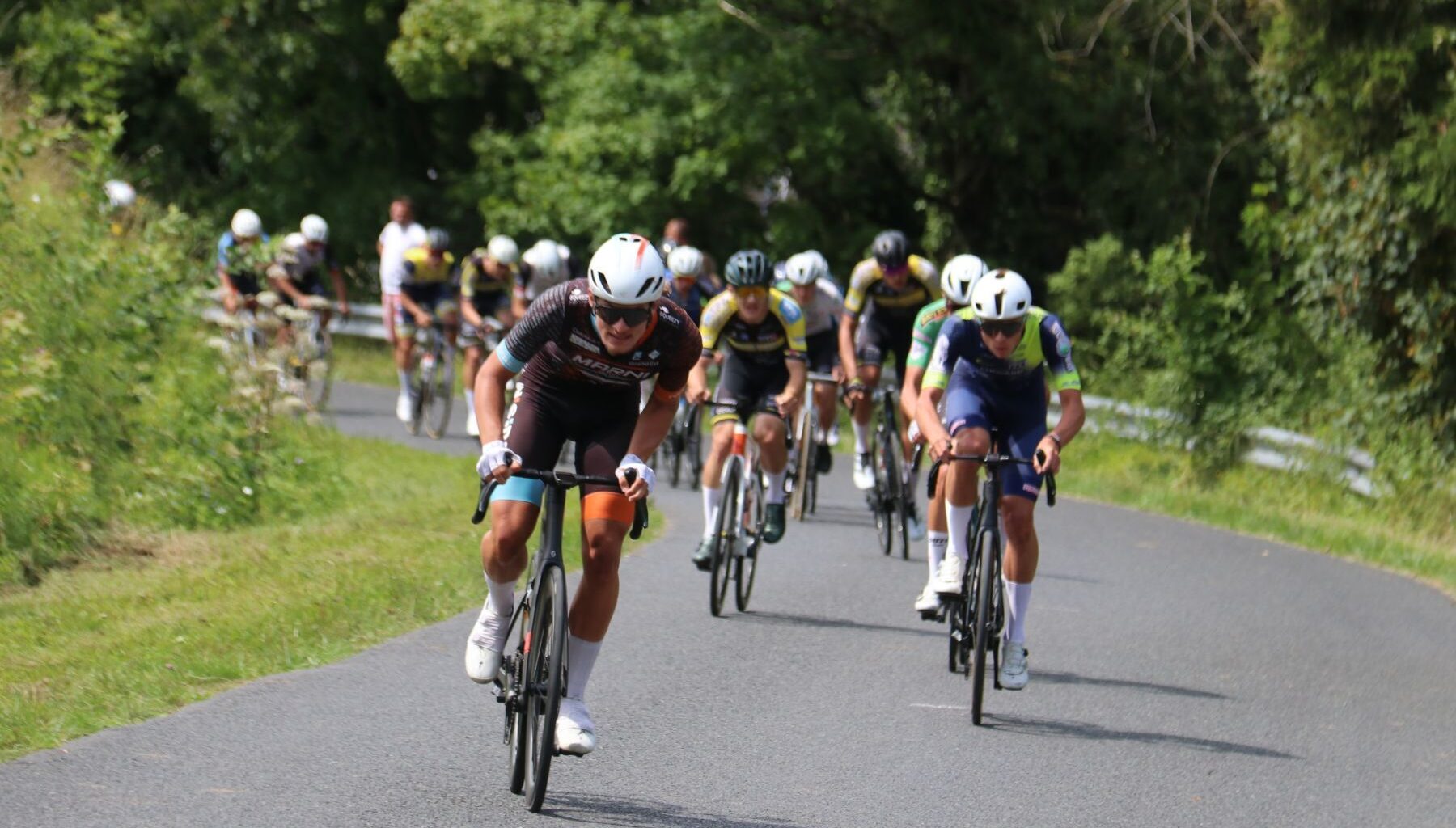 Deux courses promues dans le Grand Est - Actualité