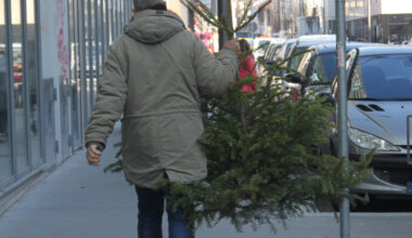Après les fêtes, 57 points de collecte pour recycler les sapins dans la métropole grenobloise