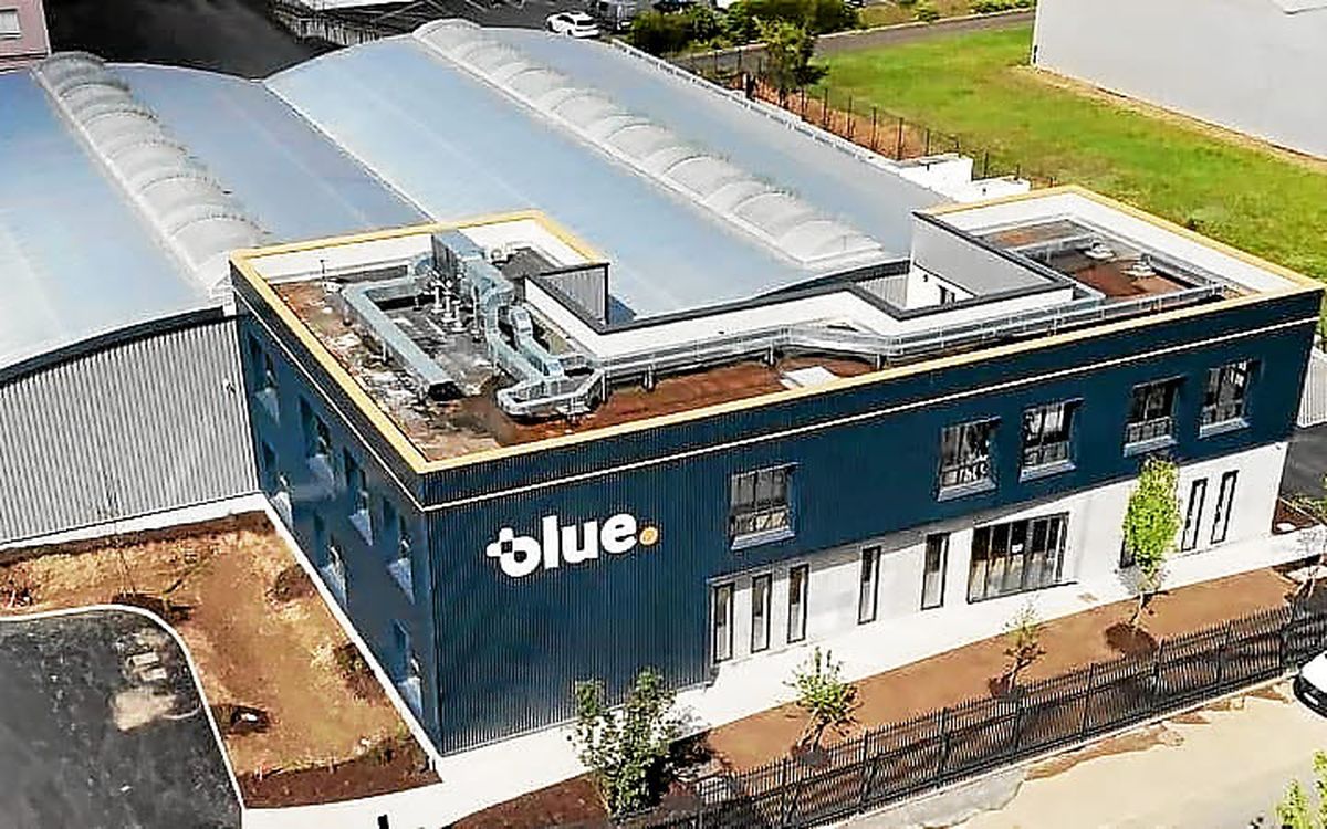 Numérique : à Rennes, Blue et ses data centers s’offrent un spécialiste nantais de Microsoft