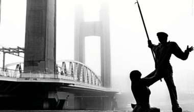 Clichés de Zefs 2025 : une année en photos grâce à vous