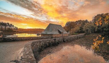L’année 2025 dans l’œil des photographes du pays de Concarneau [En images]