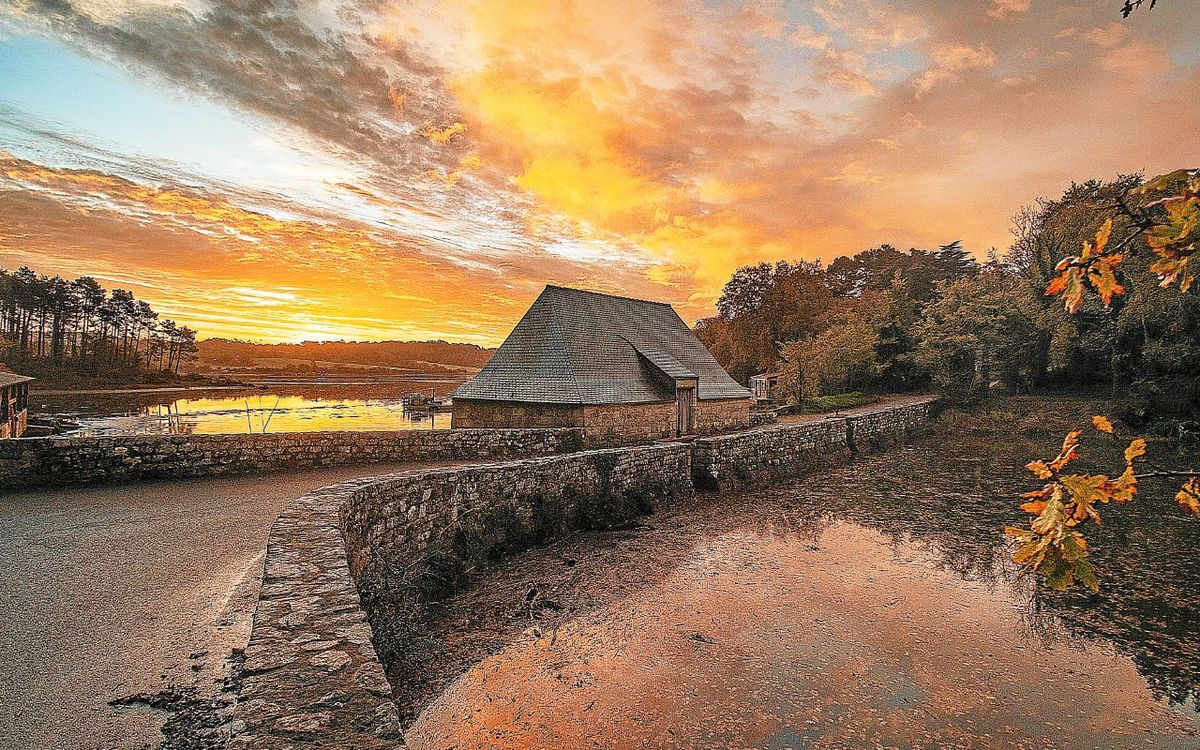 L’année 2025 dans l’œil des photographes du pays de Concarneau [En images]