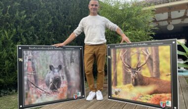 des photos pour sensibiliser à la beauté et à la fragilité de la faune sauvage