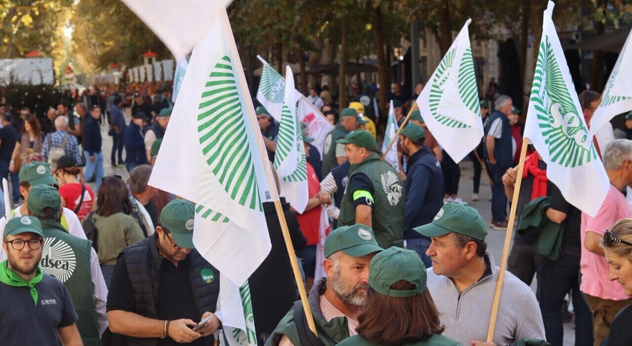 Des agriculteurs d’Ille-et-Vilaine à Bruxelles pour défendre l’avenir de l’agriculture européenne