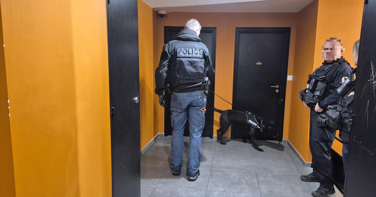 après les coups de feu répétés à Nantes, l’offensive des autorités