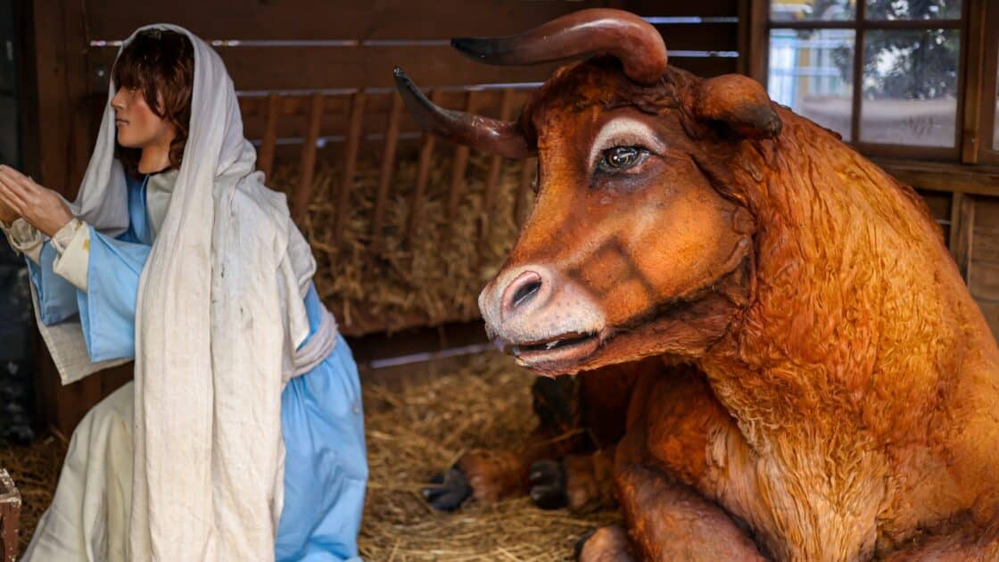 L’image actuelle n’a pas de texte alternatif. Le nom du fichier est : 7-2.jpg