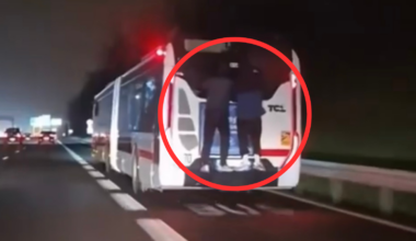 Deux personnes filmées agrippées à l'arrière d'un bus sur la M6 près de Lyon