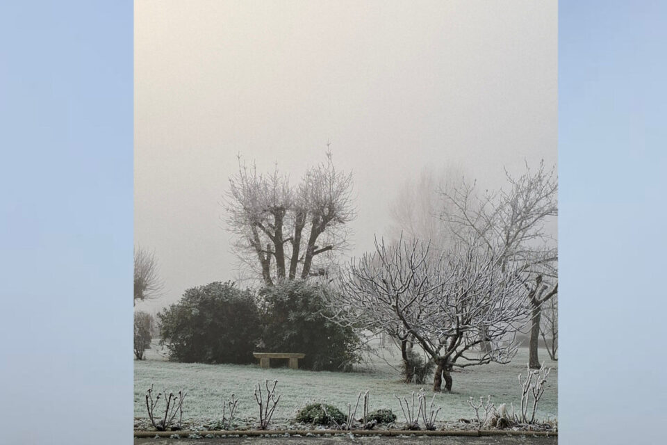 En Gironde, les paysages se sont couverts d'un voile hivernal saisissant.