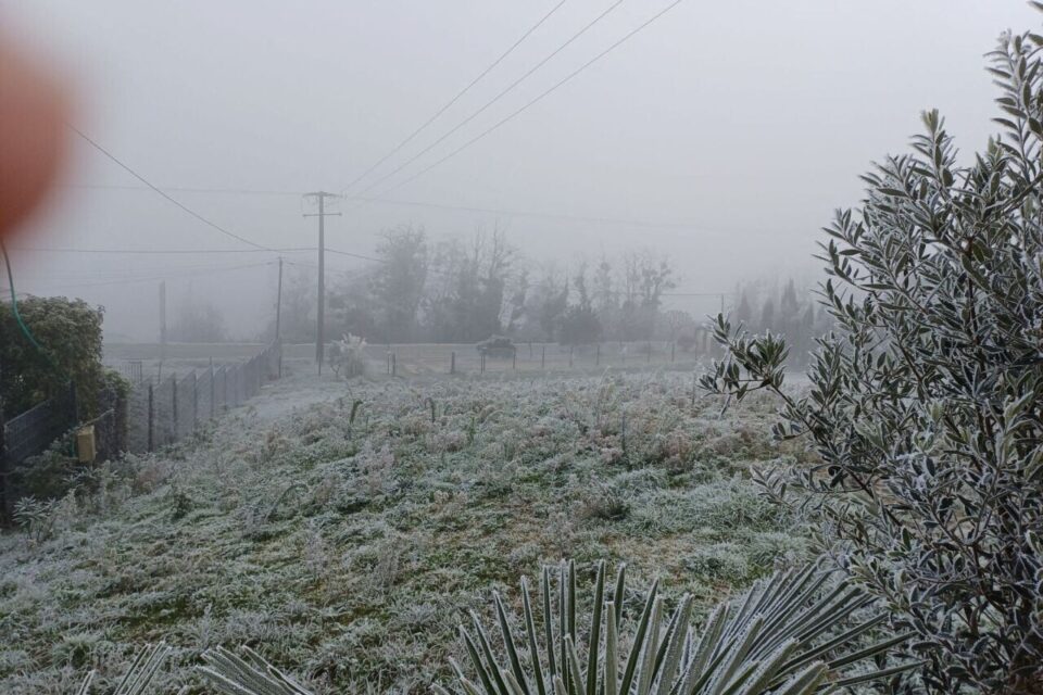 Ici, au Pian-sur-Garonne (Gironde), du blanc et du brouillard.