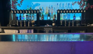 La discothèque L’ICE CLUB ouvre ses portes ce samedi 3 janvier 2026 – Medialot