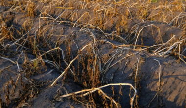 Page d'accueil Yahoo news