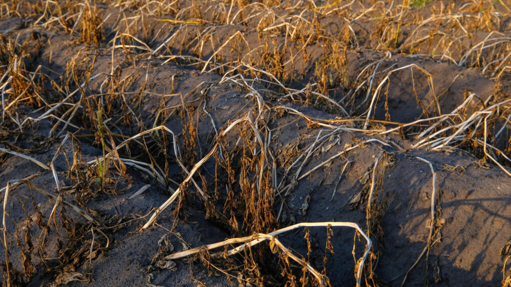 Page d'accueil Yahoo news