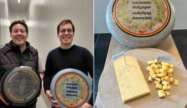 Le meilleur fromage du monde n'est pas français, mais il est fabriqué à moins d'une heure de Lille