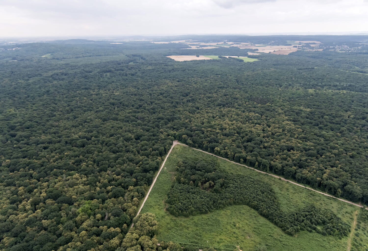 Île-de-France. "C'est irréversible pour des siècles !" 85 millions pour créer une forêt géante sur sept communes, du jamais vu depuis Louis XIV