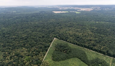 Île-de-France. "C'est irréversible pour des siècles !" 85 millions pour créer une forêt géante sur sept communes, du jamais vu depuis Louis XIV