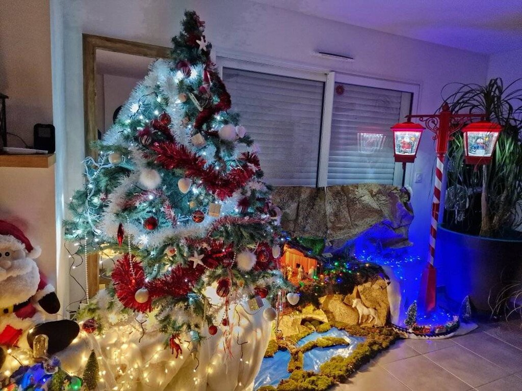 Toulouse. Une amende salée vous attend si vous jetez votre sapin à la rue : en voici le montant