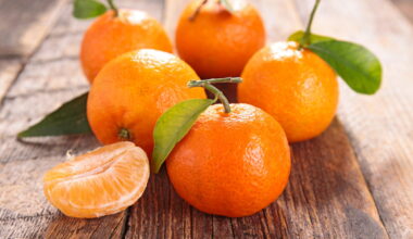 quelles sont les conséquences pour notre corps ?