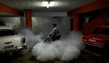 À Cuba, le système de santé s’effondre sous le poids des infections transmises par les moustiques