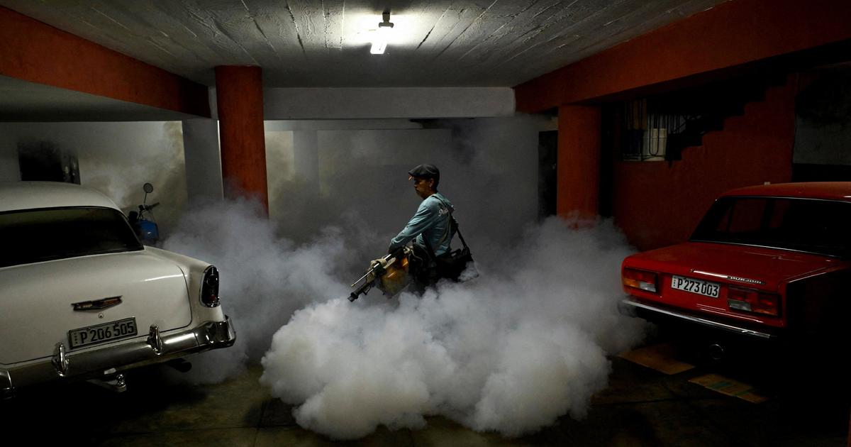 À Cuba, le système de santé s’effondre sous le poids des infections transmises par les moustiques