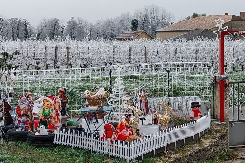 Dans tous les villages de Gironde, ici Saint-Pierre-d'Aurillac, une couleur dominait : le blanc.