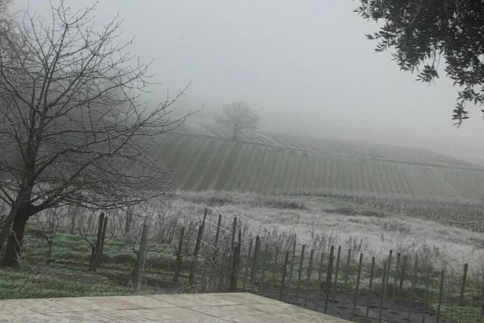 En Sud-Gironde, la nature s'est parée de décors magnifiques ; comme ici à Sainte-Croix-du-Mont.