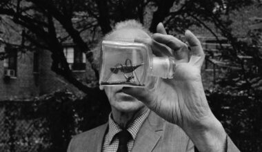 L’atelier surréaliste de l’artiste Joseph Cornell recréé à Paris