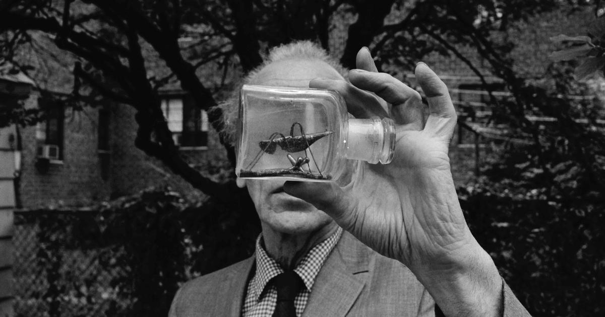 L’atelier surréaliste de l’artiste Joseph Cornell recréé à Paris