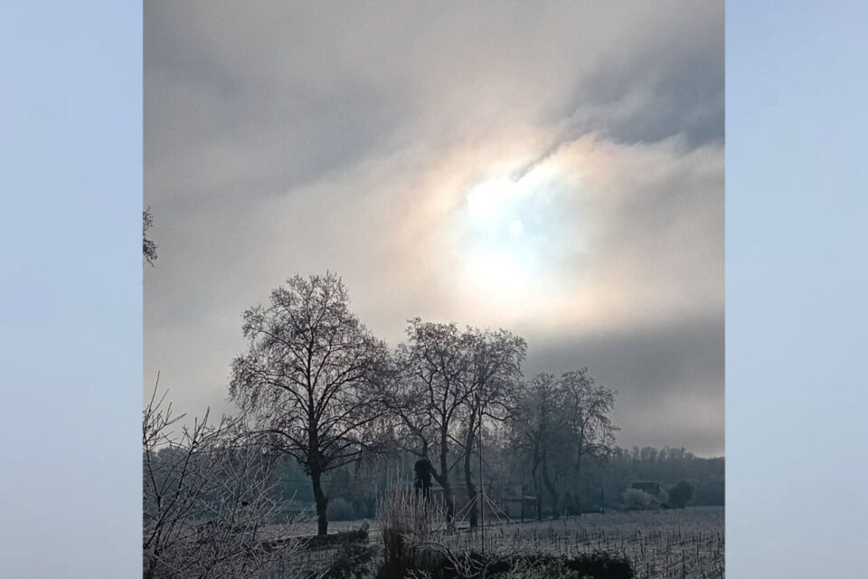 Le soleil tentant de percer la brume matinale, à Cérons (Gironde).