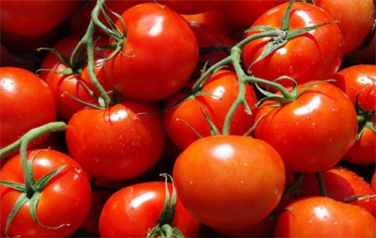 En hiver, pourquoi la tomate n’est pas à sa place dans les assiettes en Bretagne